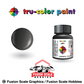 Tru Color Paint Imitation Aluminum 1oz