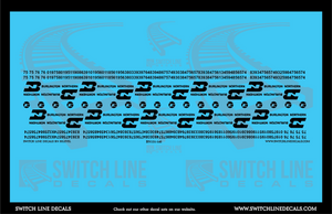 N Scale Burlington Northern Bilevels Decal Set